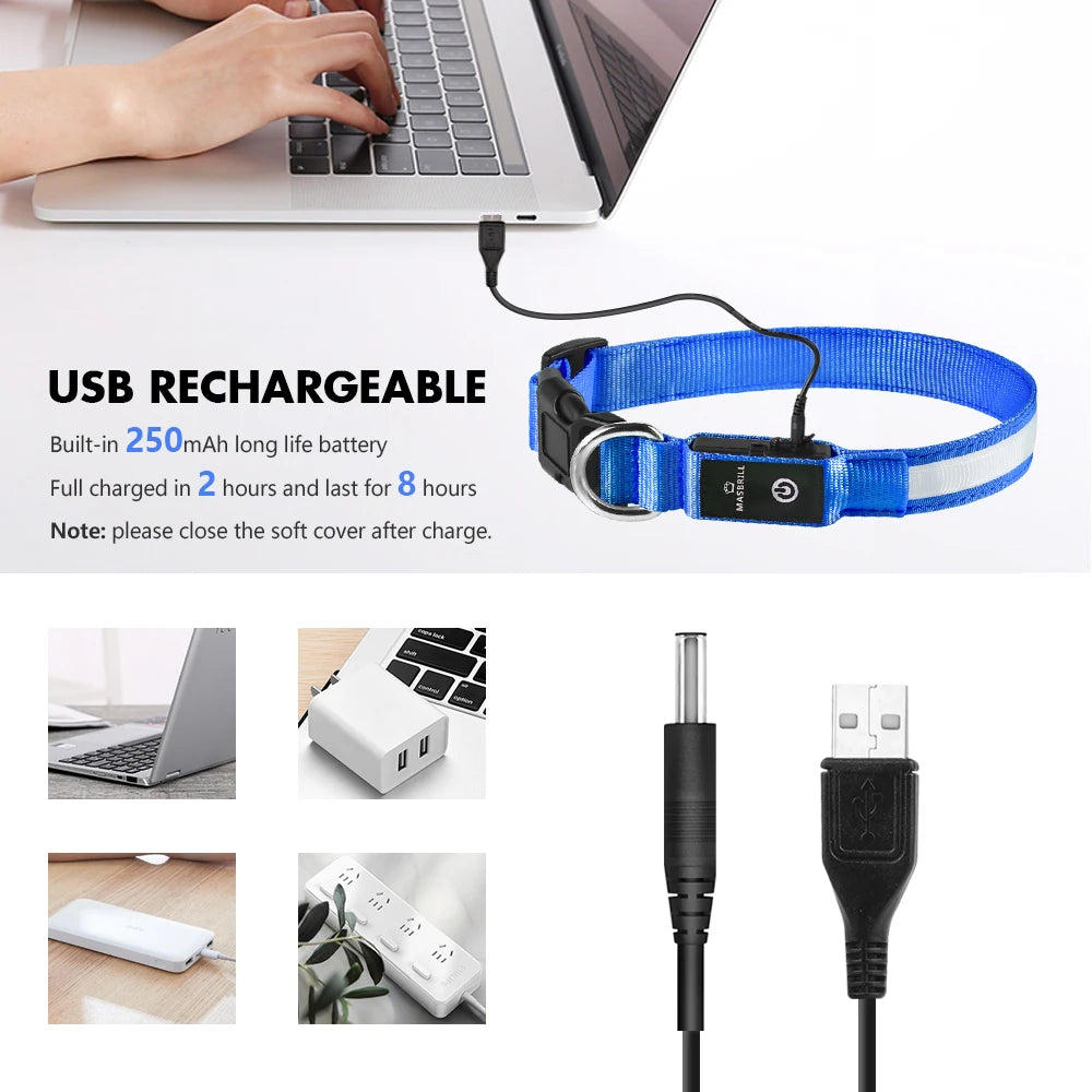 Rechargeable LED Dog Collar | Night Visibility & Safety for Pets