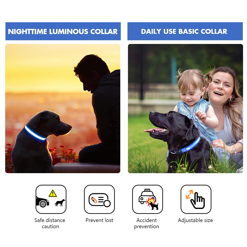 Rechargeable LED Dog Collar | Night Visibility & Safety for Pets