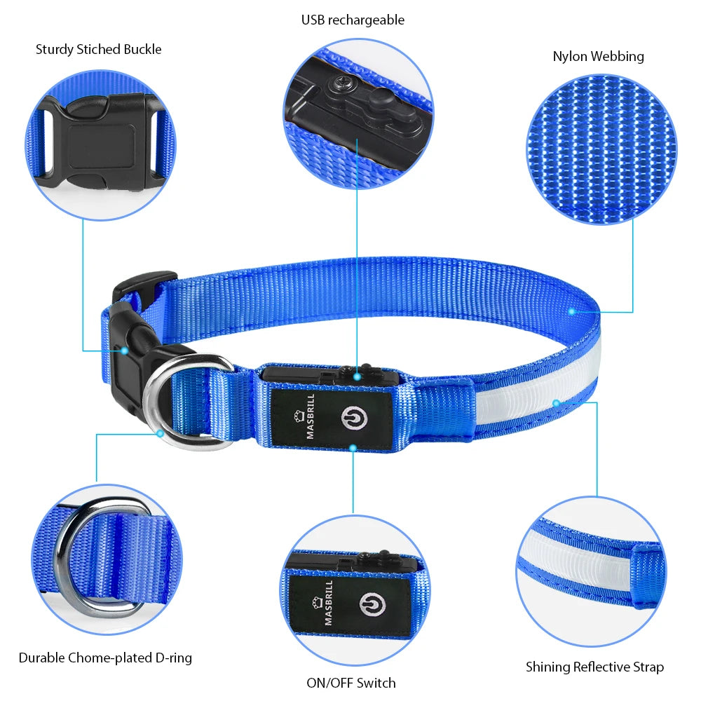 Rechargeable LED Dog Collar | Night Visibility & Safety for Pets