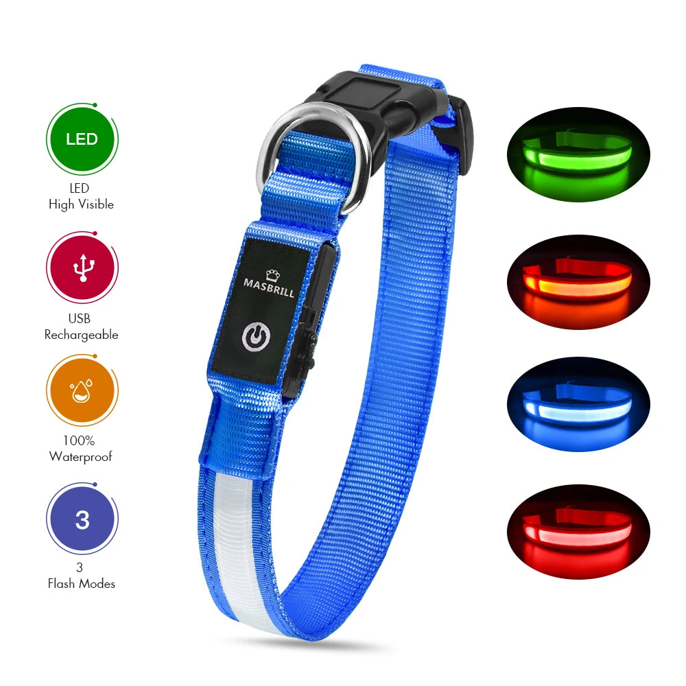 Rechargeable LED Dog Collar | Night Visibility & Safety for Pets