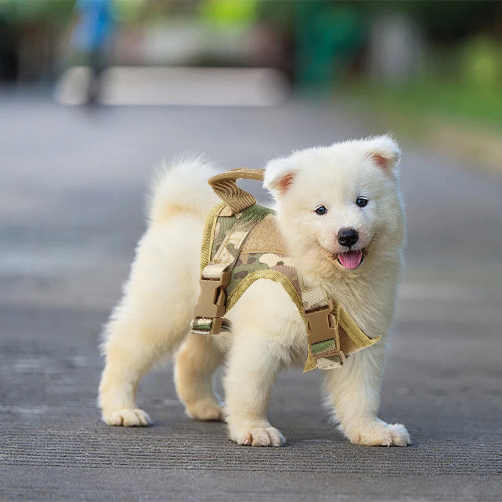 Tactical Cat Harness with Handle | Escape-Proof Outdoor Pet Vest