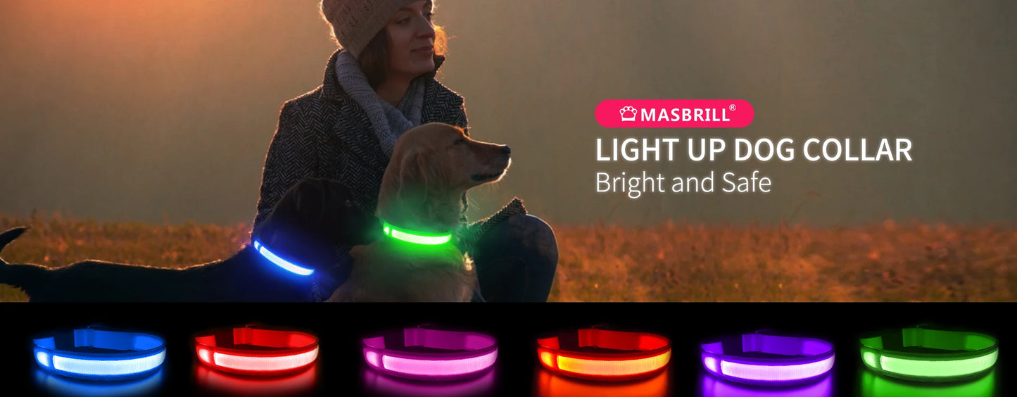 Rechargeable LED Dog Collar | Night Visibility & Safety for Pets