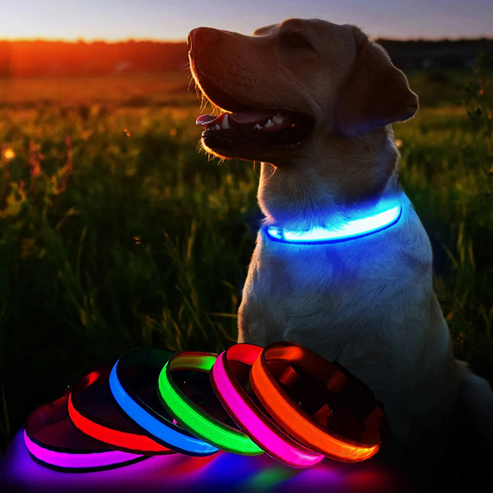 Rechargeable LED Dog Collar | Night Visibility & Safety for Pets