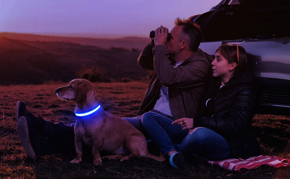 Rechargeable LED Dog Collar | Night Visibility & Safety for Pets