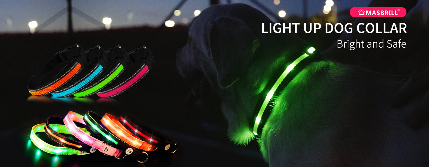 Rechargeable LED Dog Collar | Night Visibility & Safety for Pets
