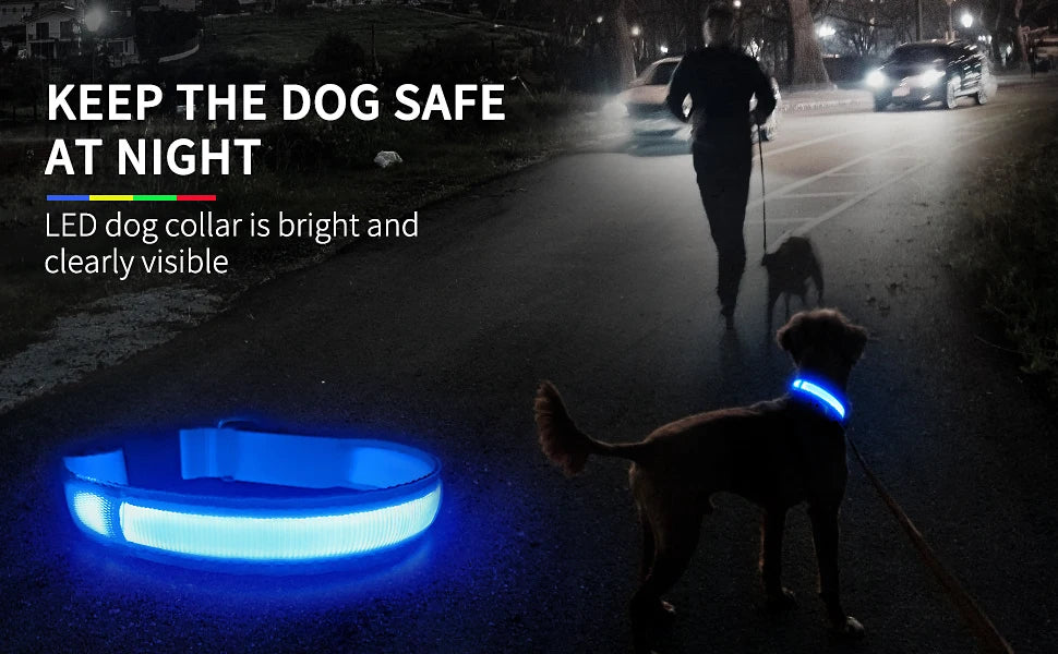 Rechargeable LED Dog Collar | Night Visibility & Safety for Pets