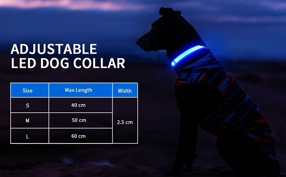 Rechargeable LED Dog Collar | Night Visibility & Safety for Pets