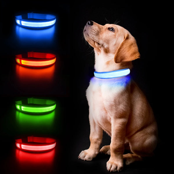 Rechargeable LED Dog Collar | Night Visibility & Safety for Pets