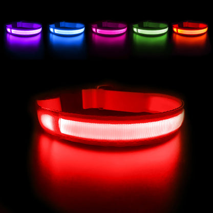 Rechargeable LED Dog Collar | Night Visibility & Safety for Pets