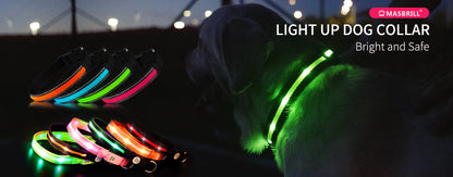 Rechargeable LED Dog Collar | Night Visibility & Safety for Pets